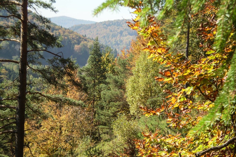 Den goldenen Herbst genießen