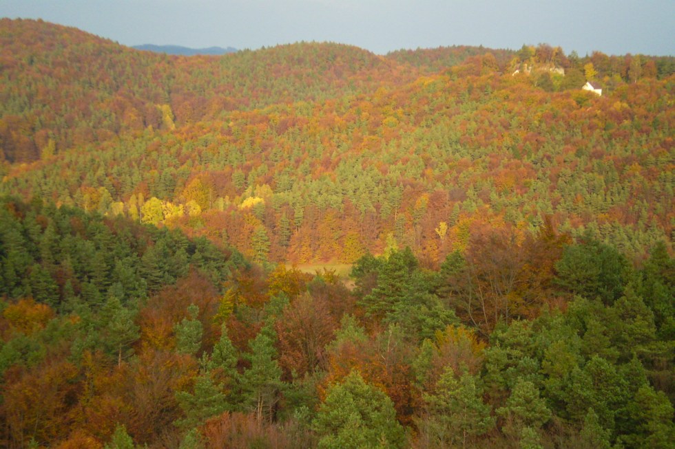 Den goldenen Herbst genießen